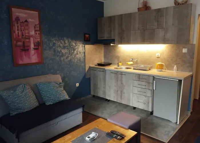 公寓 Tatjana 诺威萨